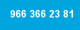 966 366 23 81